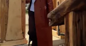 Galerie foto - poza 1