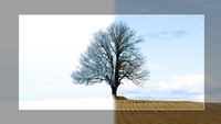 Vremea se schimbă radical în această iarnă. Fenomenul care îi îngrijorează pe meteorologi