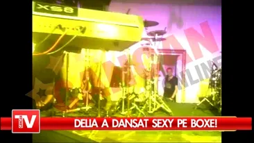 Delia a reusit sa-i atraga atentia lui Pitbull in timpul concertului