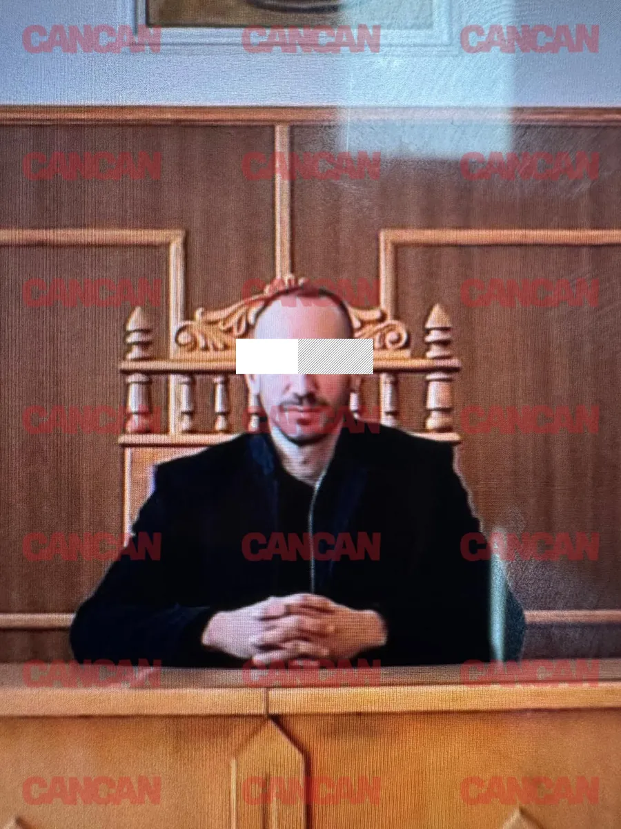 Partenerul Rodică Stănoiu ar fi jurist de meserie