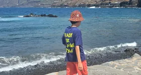 Galerie foto - poza 3