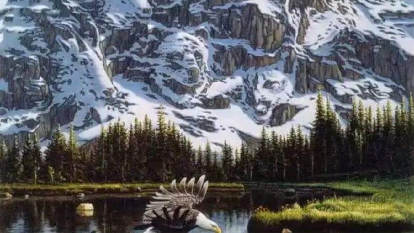 Iluzie optică virală | Găsiți al doilea vultur din această fotografie!