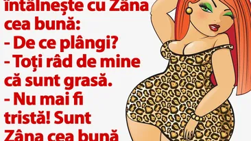 Bancul de duminică | O tipă plinuță se întâlnește cu Zâna cea bună: Îți pot pot îndeplini orice dorință