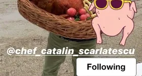 Galerie foto - poza 3