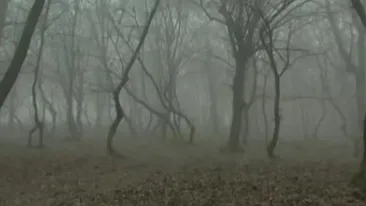 Locul BLESTEMAT din Romania! Ce se intampla aici i-a ingrozit pe locuitori! Nimeni nu stie care este explicatia