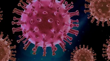Bilanț coronavirus România, 18 august 2021. 541 de cazuri noi de infectare în ultimele 24 de ore