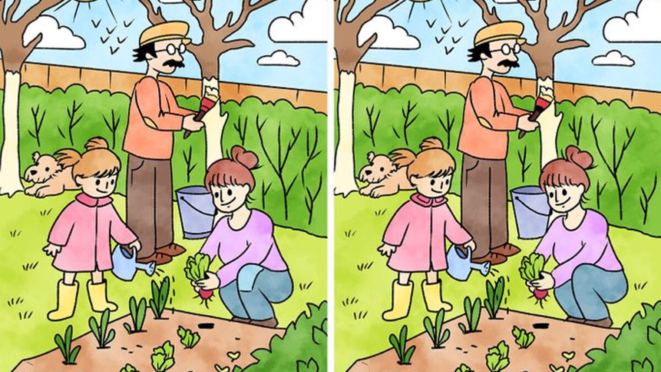 TEST IQ | Câte diferențe sunt între aceste 2 imagini? Doar geniile le văd pe toate