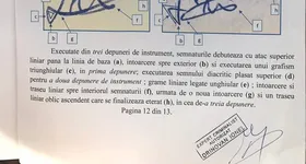 Galerie foto - poza 4