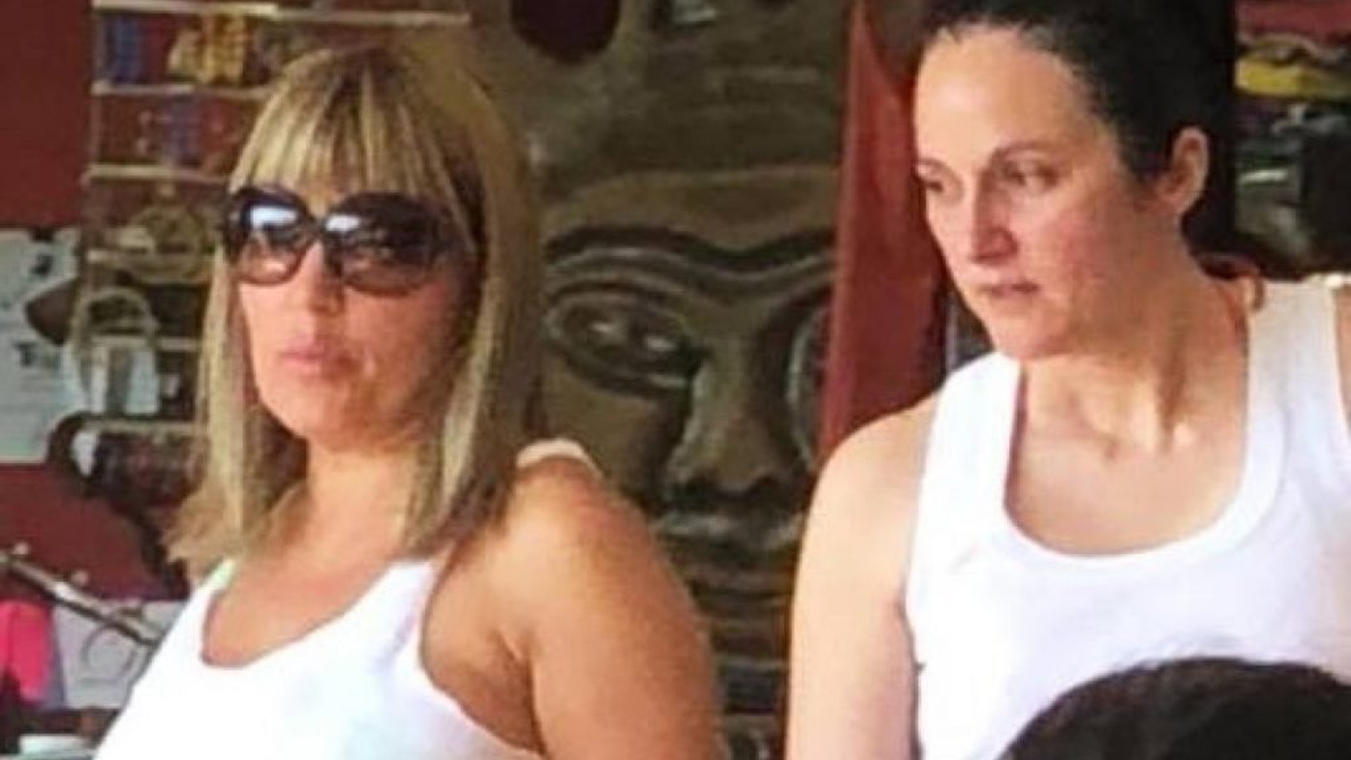 Elena Udrea si Alina Bica, eliberate! Decizie de ULTIMA ORA in Costa Rica