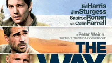 Dragos Bucur, batjocorit de americani