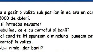 BANC | Bulă a găsit o valiză sub pat și în ea erau 5.000 de dolari și un cartof