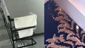 Ce a găsit un cuplu într-un hotel de 3 stele din Eforie Nord, la 350 de lei pe noapte: mucegai, instalații sanitare stricate, pereți murdari și praf. Revoltați, oamenii au filmat totul. Ce s-a întâmplat după ce au primit altă cameră