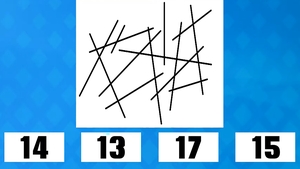 Test de inteligență | Câte linii apar în această imagine: 14, 13, 17 sau 15?