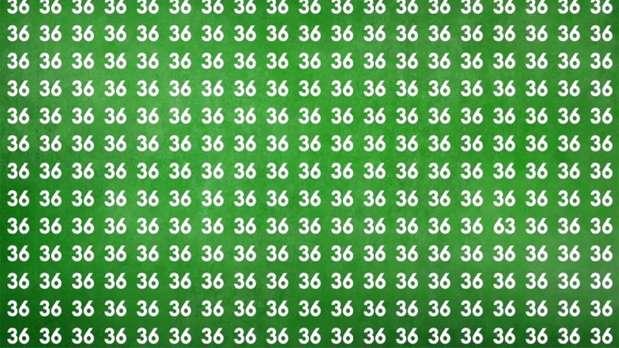 Iluzie optică virală | Depistați numărul 63 ascuns printre 36! Doar 1 dintre 100 de oameni poate