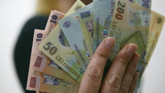 225 de lei, recompensă pentru un cadavru de porc mistreț!