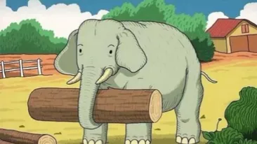 Iluzie optică virală | Ești un mega-geniu dacă poți găsi calul camuflat în această fotografie