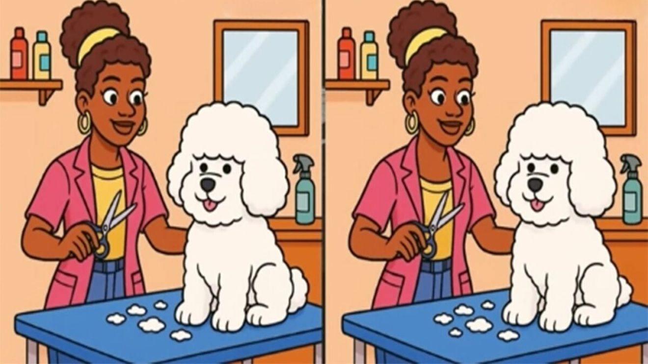 Test de perspicacitate | Există 3 diferențe între poza din stânga și cea din dreapta. Le puteți găsi pe toate?