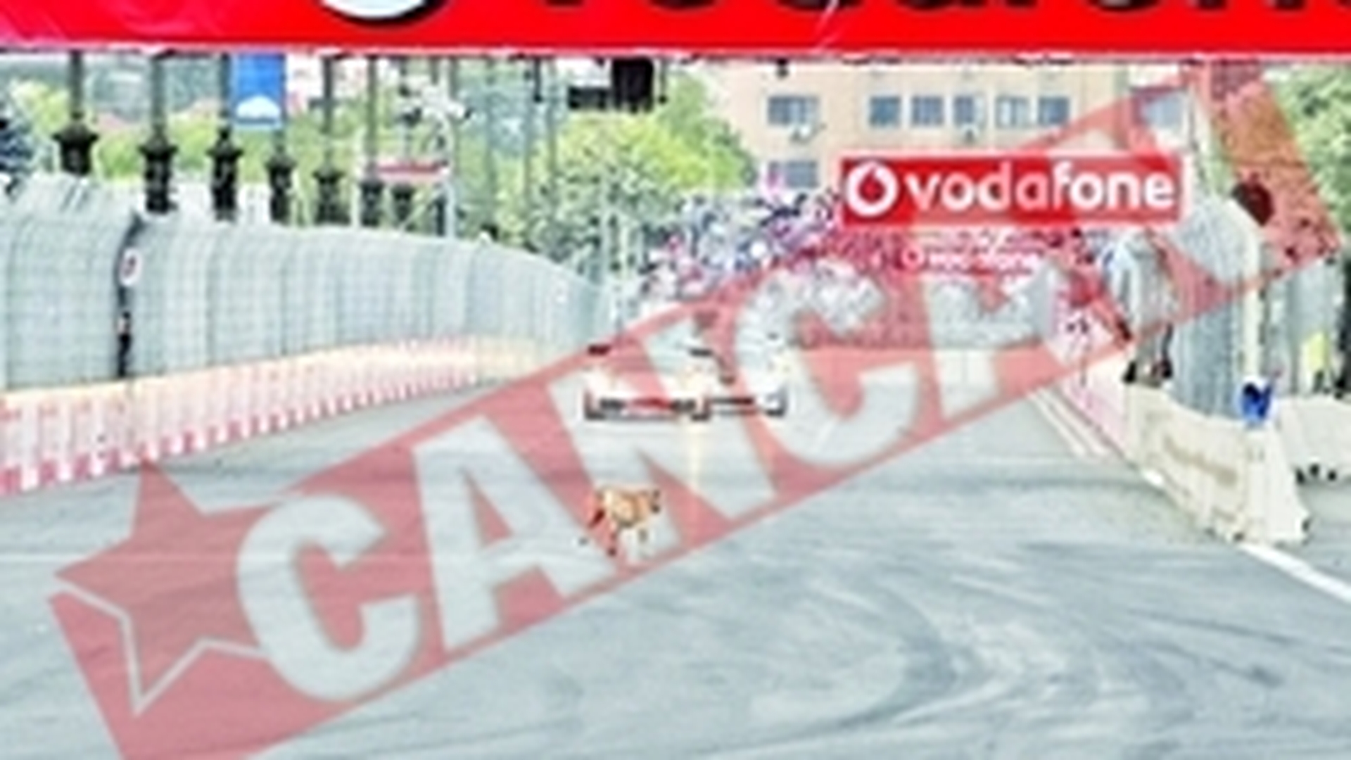 Povestea lui Tiki, maidanezul-vedeta de la Formula 3