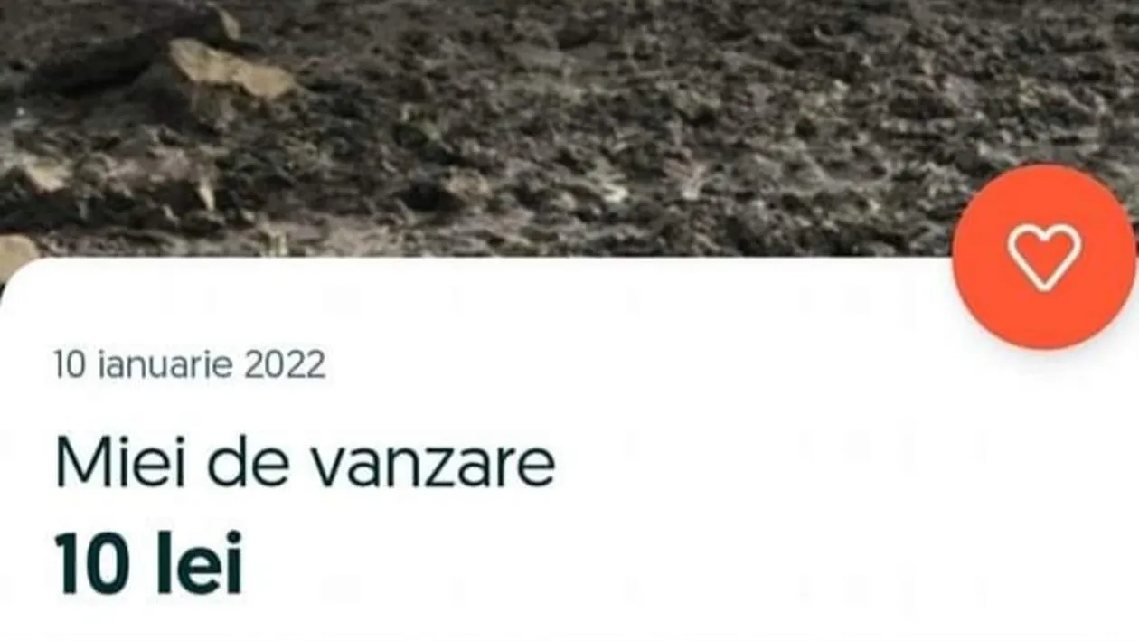 BANC | Miei de vânzare. 10 lei