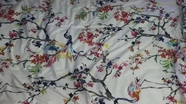 Iluzie optică virală | Găsiți ochelarii pierduți în această fotografie!