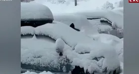 Galerie foto - poza 3