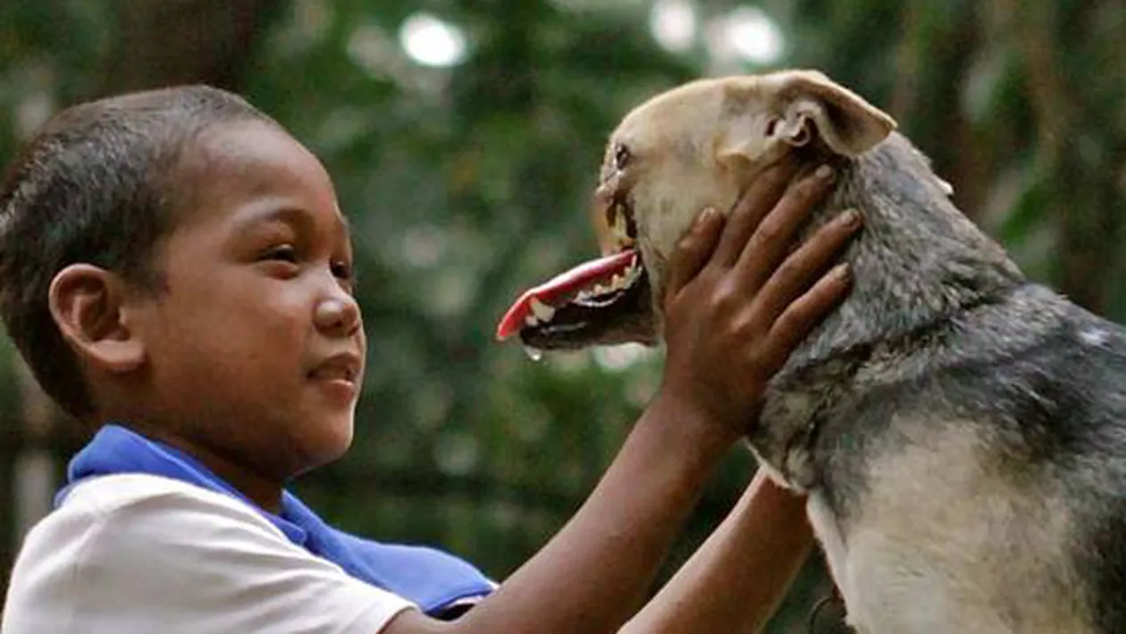 O sa ti se rupa sufletul! Cainele asta fara bot va fi operat! Vezi ce poveste impresionanta are si cum a ajuns asa, dupa ce a salvat doua fetite!