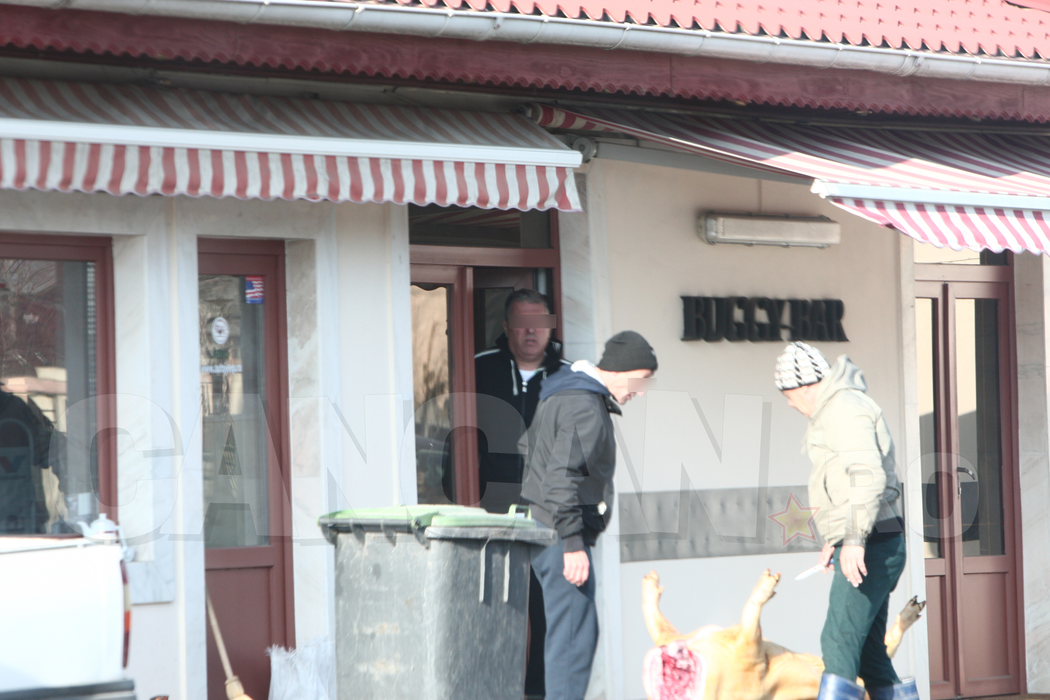Cum s-a tăiat porcul la barul „Buggy”, de lângă casa lui Gigi Becali. Localul a fost făcut celebru de către verii Becali