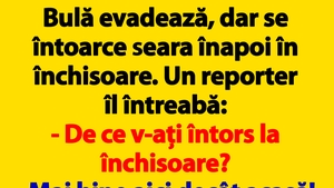 BANCUL ZILEI | Bulă evadează, dar se întoarce seara înapoi în închisoare