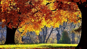 METEO 19 septembrie. Afla cum va fi vremea sambata