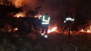 Incendiu în județul Dâmbovița! Peste 10 hectare de vegetație au ars. Sătenii au sărit în ajutorul pompierilor, flăcările au fost cu greu stinse