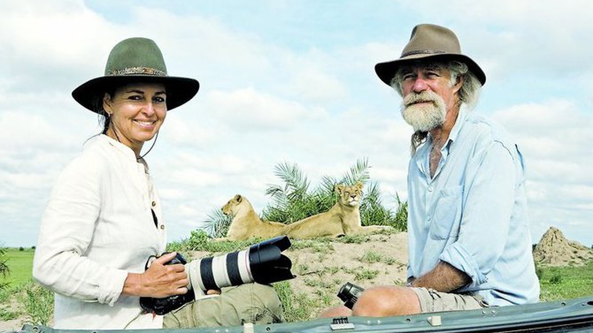 Exploratorul Derek Joubert a filmat intre feline: "Aveam pantalonul patat cu sangele leilor"
