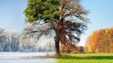 Vremea, ca o cutie cu surprize! Până vineri va fi cald, dar in weekend se intorc ninsorile. Vezi prognoza din această săptămână