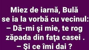 BANC | Miez de iarnă, Bulă se ia la vorbă cu vecinul