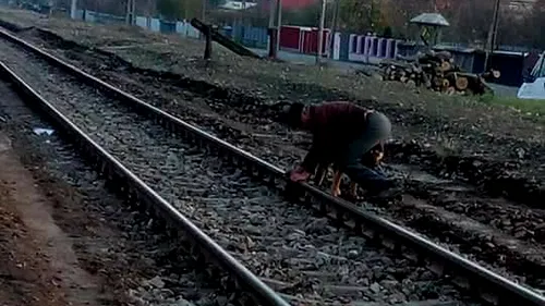 Bătrânul şi-a legat intenţionat câinele de şinele de cale ferată, apoi a aşteptat să vină trenul! Ce s-a întâmplat după câteva minute