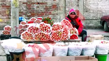 Contrabanda cu flori la Piata George Cosbuc