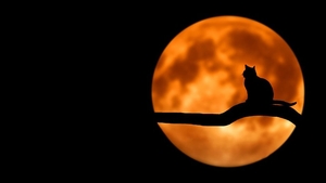 Totul despre eclipsa de Lună de pe 27 iulie 2018!