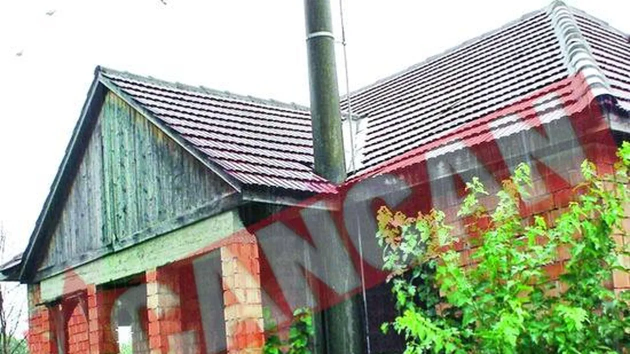 Si-a ridicat casa in jurul unui stalp