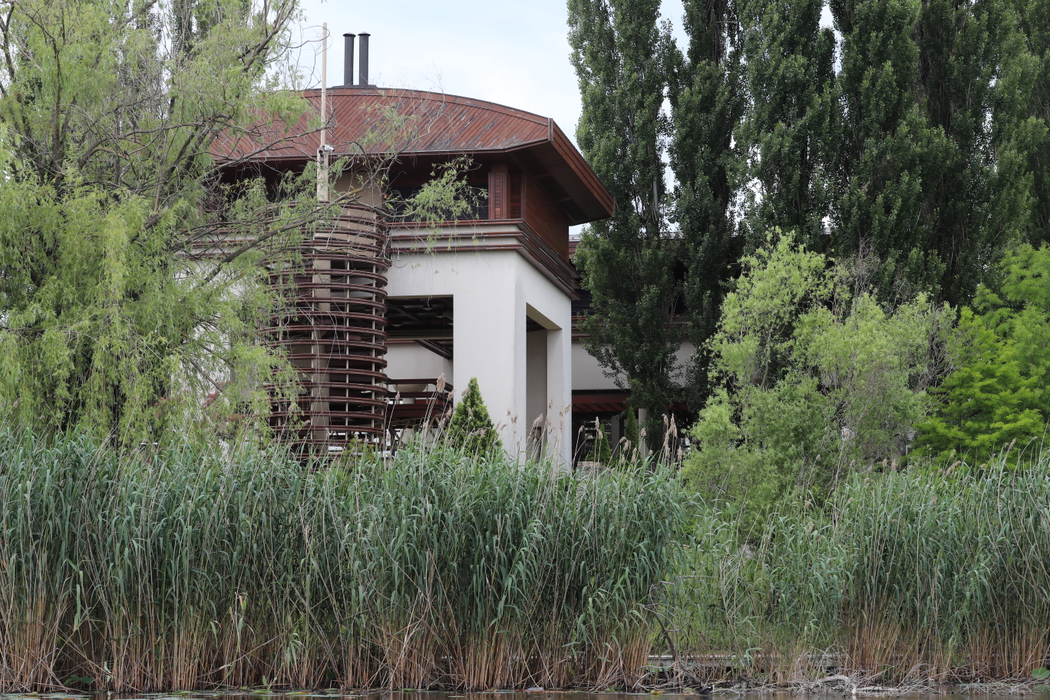 Fabulosul domeniu de la Snagov, deţinut de Dinu Patriciu, este acum abandonat în voia sorţii