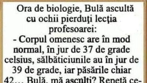 BANC | Bulă, la ora de biologie: "Omul are 37 de grade Celsius, dar când devine sălbatic.."