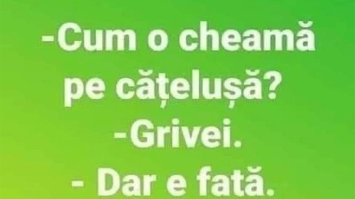 BANCUL ZILEI | "Cum o cheamă pe cățelușă?"