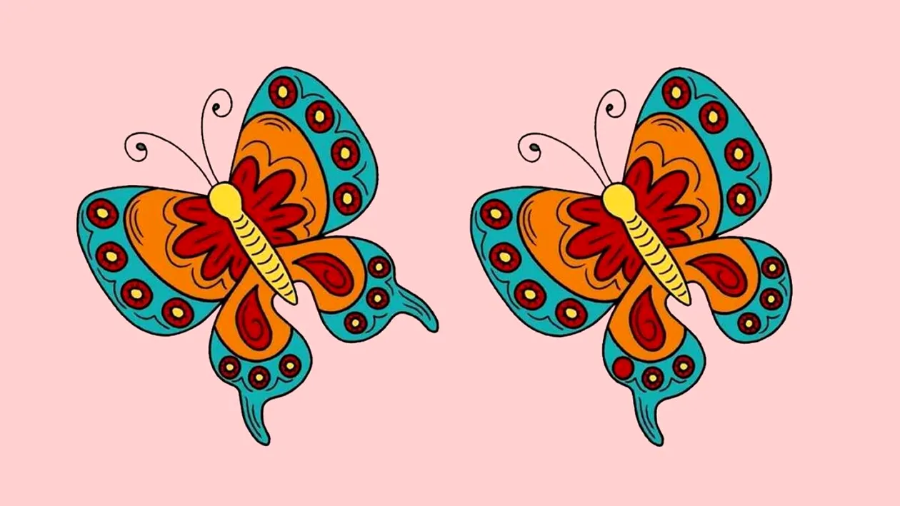 Test de logică | Acești doi fluturi par indentici, dar nu sunt. Găsiți cele 3 diferențe!