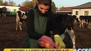 VIDEO Andreea Tonciu a muncit la coada vacii! Afla cum s-a descurcat vedeta cu animalele de la ferma!