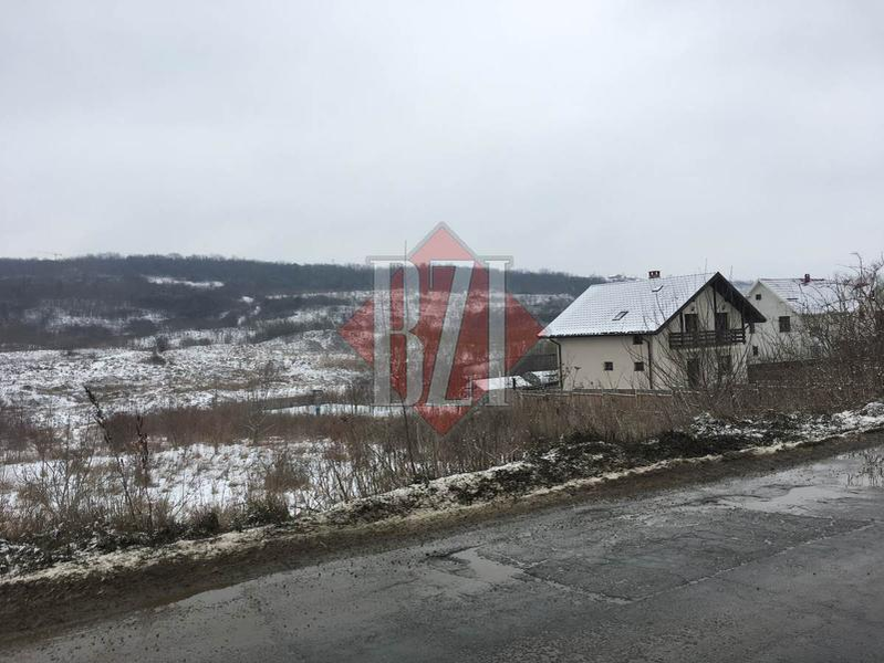 Un tânăr de 29 din Iași s-a sinucis! Motivul surprinzător pentru care a ales să-și pună capăt zilelor
