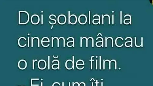 BANC | Doi șobolani la cinema