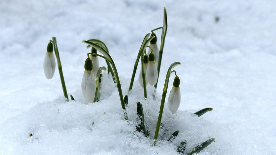 PROGNOZA METEO 1 MARTIE: Minime de -21 de grade la București!