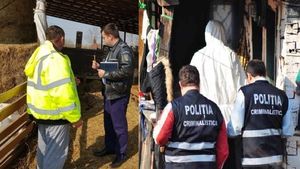 Conflict la o stână din Dâmbovița. Ciobanii s-au bătut cu bâte și topoare, iar unul dintre ei a fost ucis