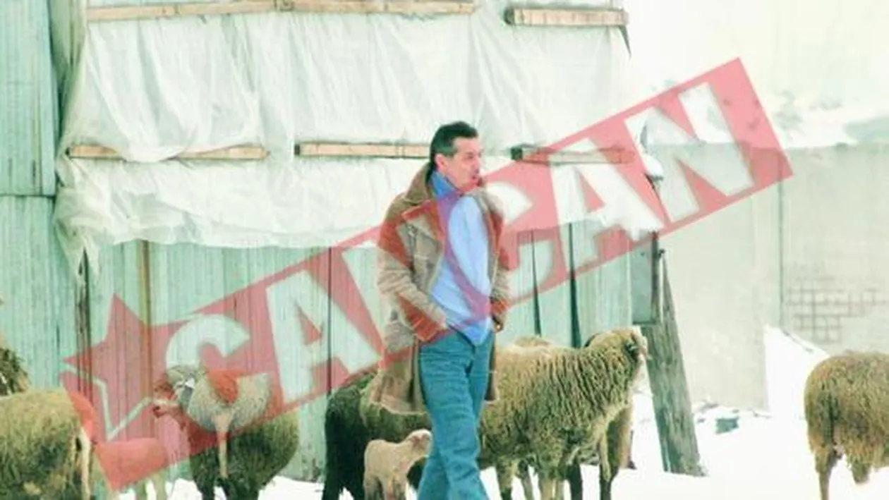 Talent si Fermecatoru' i-au facut  imn lui Becali