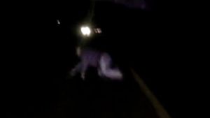 VIDEO Sinucidere filmată din întâmplare! Modul în care un bărbat a ales să-şi pună capăt zilelor i-a şocat pe doi moldoveni