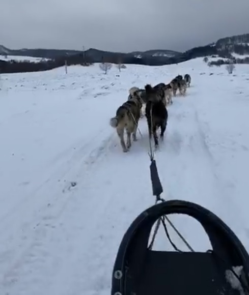 Francezii s-au mutat la 30 de kilometri de Baia Mare, lângă Cavnic