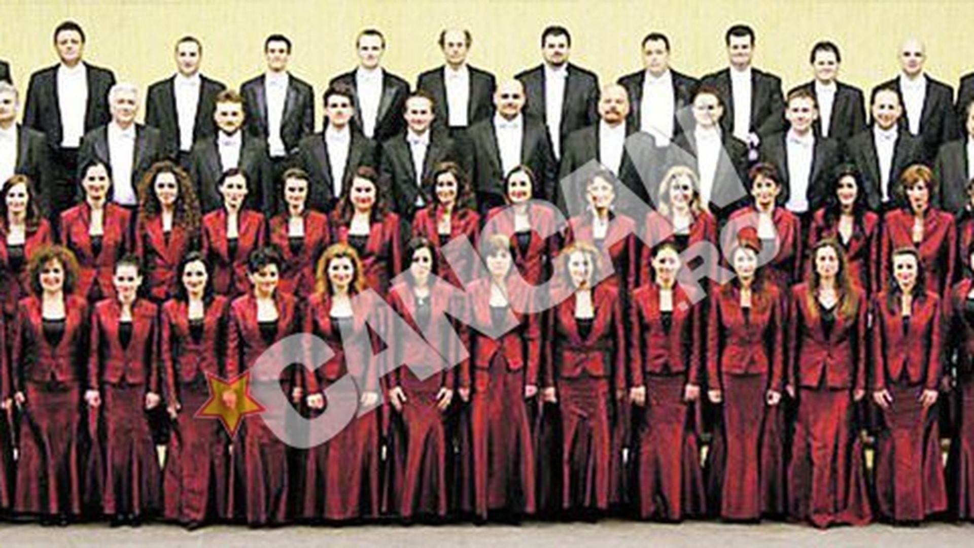 Solist al Filarmonicii Banatul, prins beat la volan! A amutit in fata politistilor